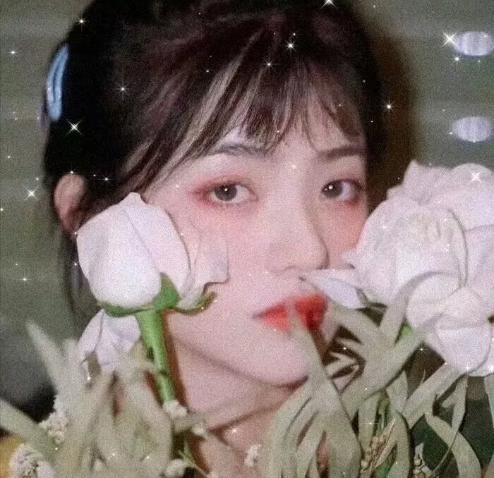 里欧洛 封面